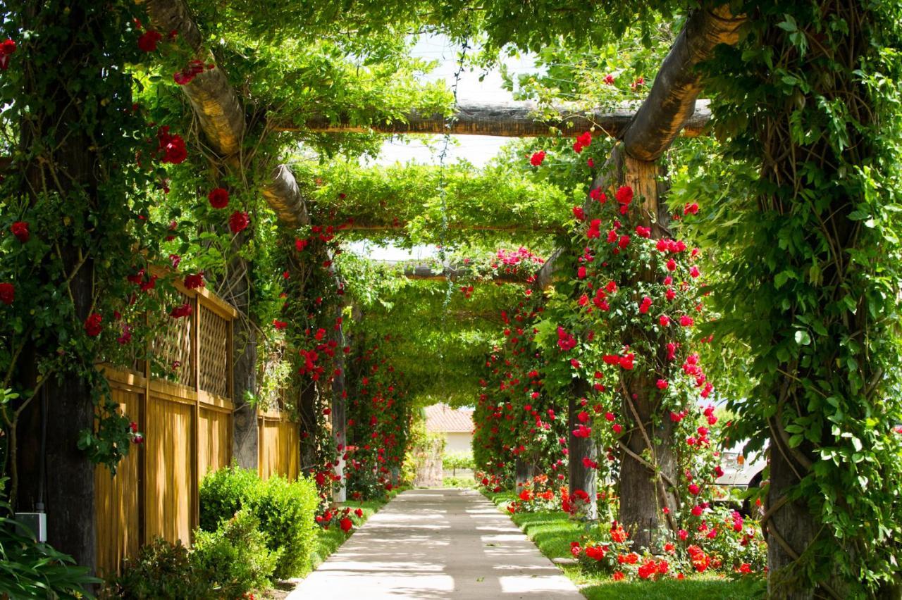South Coast Winery Resort & Spa Temecula Ngoại thất bức ảnh
